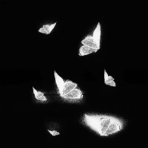 日韩AV无码无码无码
